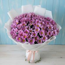 Букет цветов из:  Хризантемы в Нижнеангарск