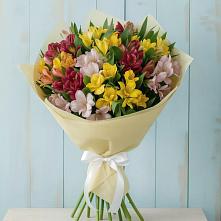 Букет цветов из:  Альстромерии #REPLACE_PRED# Нижнеангарск