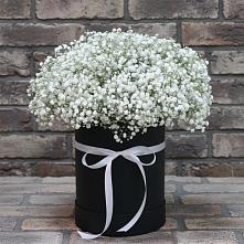 Цветочная композиция из Гипсофила в шляпной коробке #REPLACE_PRED# Нижнеангарск