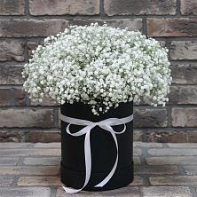Цветочная композиция из Гипсофила в шляпной коробке в Нижнеангарск